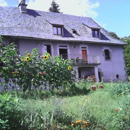 Charmant Gite Au Coeur Des Volcans D'auvergne Avec Jardin, Cheminee Et Proche Super-lioran - Fr-1-742-15 *