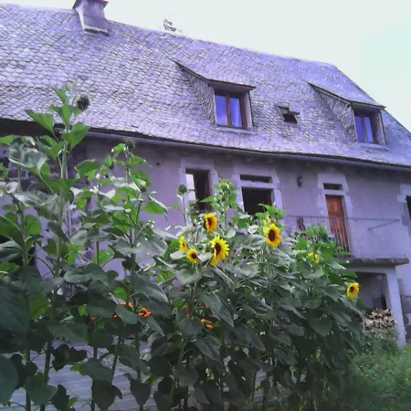 Charmant Gite Au Coeur Des Volcans D'auvergne Avec Jardin, Cheminee Et Proche Super-lioran - Fr-1-742-15 Holiday home