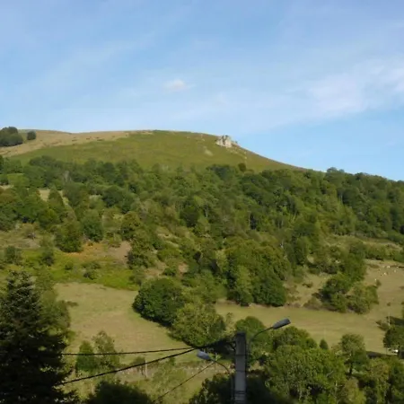 Charmant Gite Au Coeur Des Volcans D'auvergne Avec Jardin, Cheminee Et Proche Super-lioran - Fr-1-742-15 *