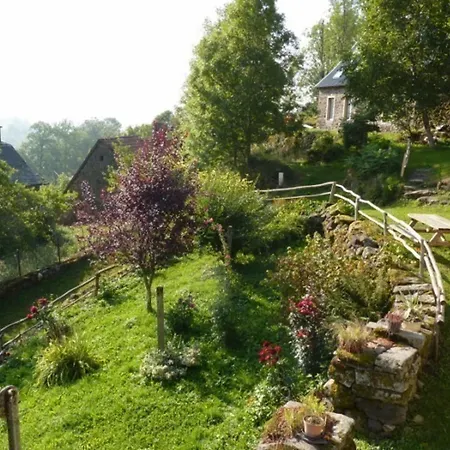 Charmant Gite Au Coeur Des Volcans D'auvergne Avec Jardin, Cheminee Et Proche Super-lioran - Fr-1-742-15 Holiday home
