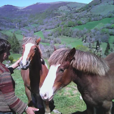 بيت للعطل Au Coeur Des Volcans D'auvergne Avec Jardin, Cheminee Et Proche Super-lioran - Fr-1-742-15 Thiézac